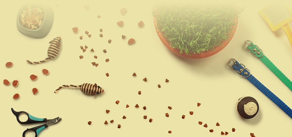 ペットグッズの写真